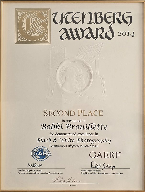 Gutenberg award 2014.jpg